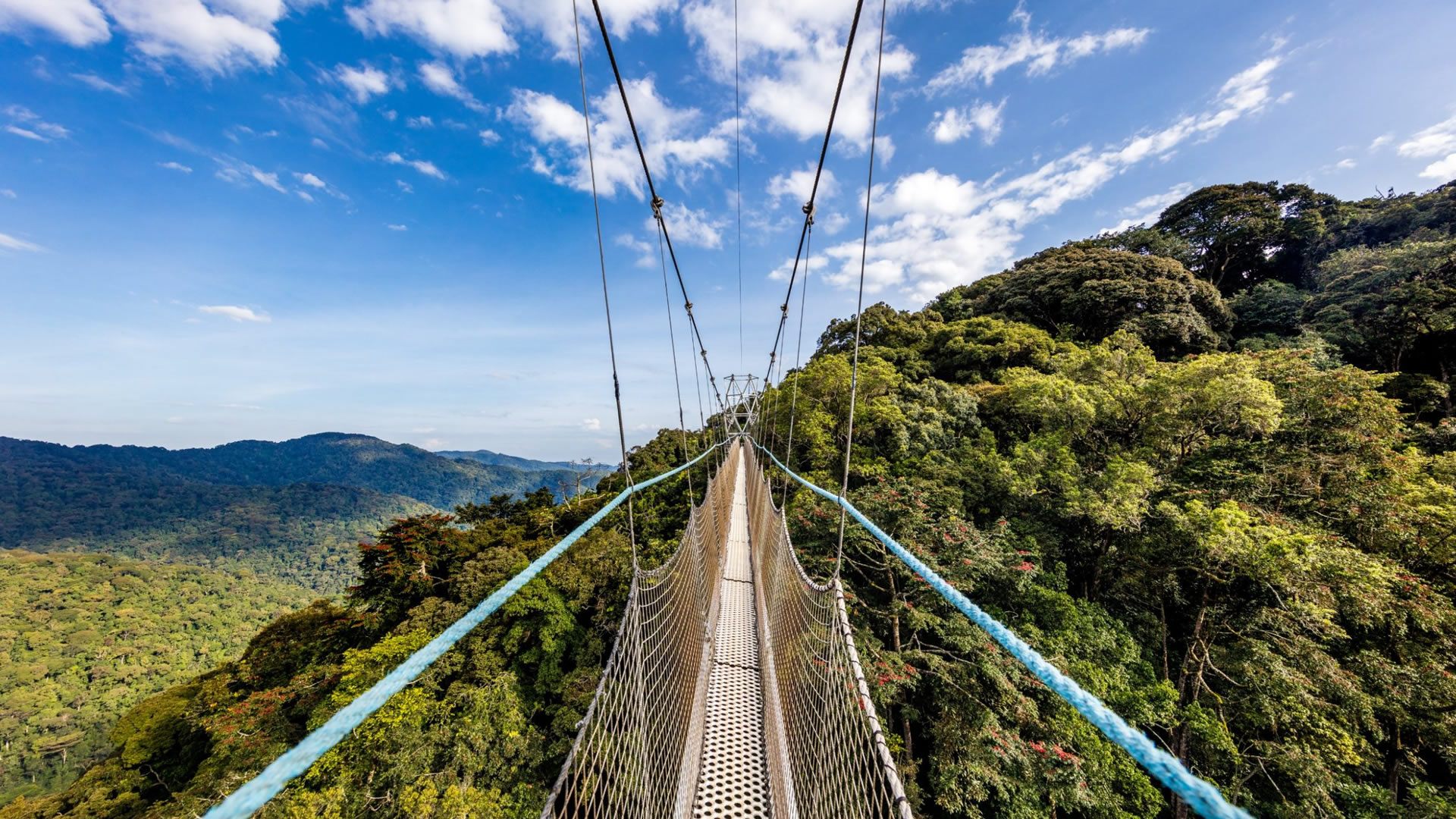 Nyungwe Forest Canopy Walkway