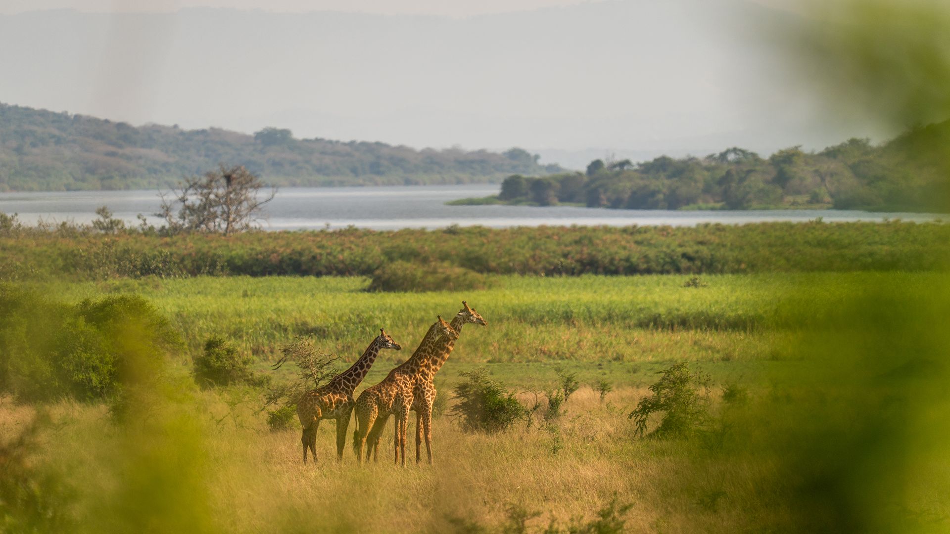 Akagera National Park Magashi Camp