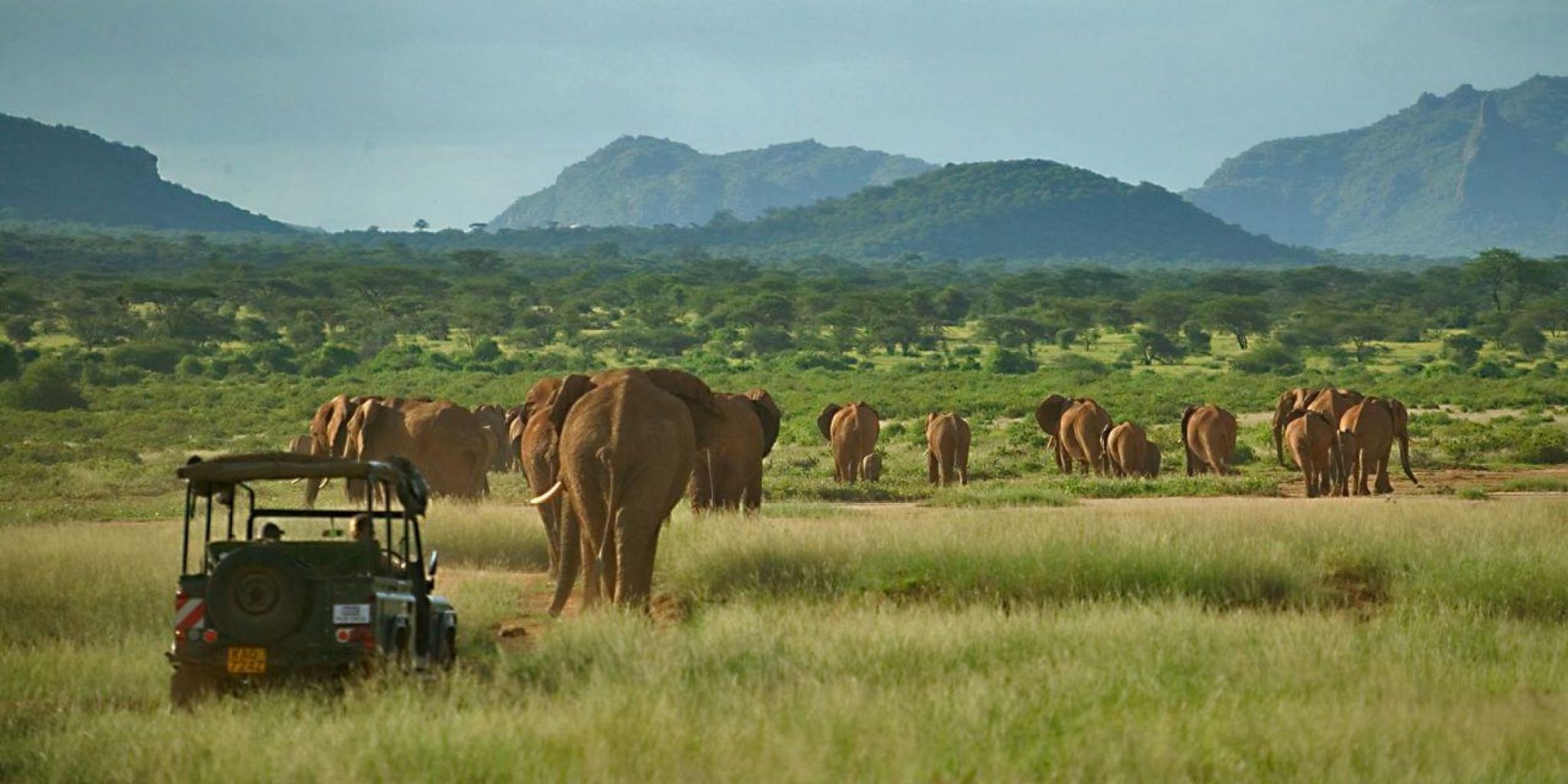 4 Days Samburu Special Five Safari
