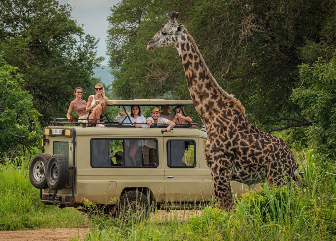 Kenya Wildlife Circuit